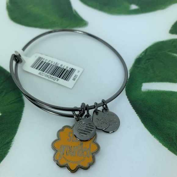 Alex and Ani Stay Grounded Charm Bangle Bracelet - Picture 4 of 8